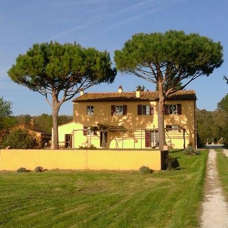 Le Grascete Apartment Bolgheri Exterior photo