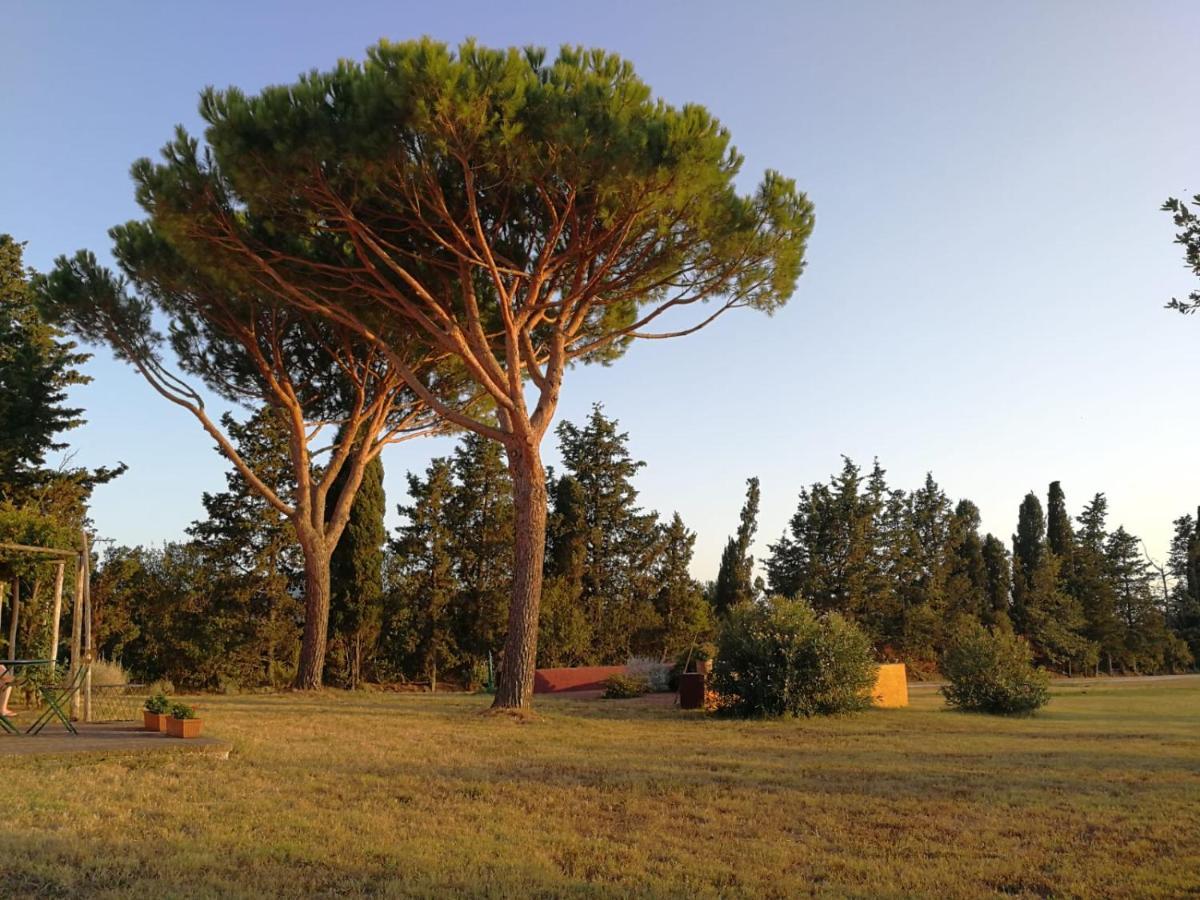 Le Grascete Apartment Bolgheri Exterior photo